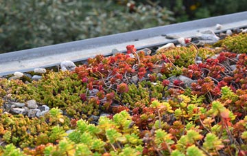 the cost of Hamarhill green roof installation