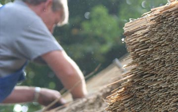 professional Hamarhill thatchers