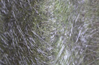 Hamarhill fibreglass roof work